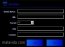 DelFeo Radio/Tv Player 1.0.4 Angielski