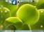 RocketDock 1.3.5 Espa�ol