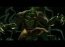 Spider-Man 3 Video
