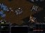 StarCraft  Demo