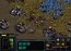 Starcraft Englez�