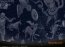 Stellarium 0.10.0 Espa�ol