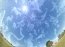 Stellarium  0.10.2