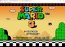 Super Mario Bros 2.5D