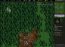 The Battle for Wesnoth 1.5.4 Fran�ais