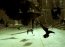 The Matrix Reloaded  Trailer Ingl�s