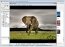 ThumbsPlus Pro 8.1.0.3537