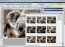 Ulead PhotoImpact  X3