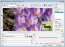 Ulead SmartSaver Pro 3.0