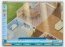 Virtual Families  1.00.05 Ingl�s
