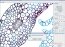 Virtual Microscope 6.2.2