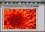 virtualStudio  1.0.36 Ingl�s