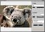 virtualStudio  1.0.36 Ingl�s