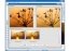 Visual Photo++ 1.00