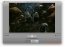 XinePlayer 0.3 Englez�