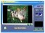 ZeallSoft FunPhotor  2008 6.0