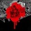 City Nostra iPhone
