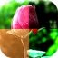 Photo Effects Android
