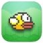 FlappyBirds Windows