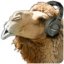 gmusicbrowser Linux