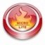 Nero BurnLite 10.0.10500 Nero BurnLite 10.0.10500