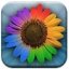 Web Albums 2.2.5