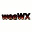 weeWX 2.1.1