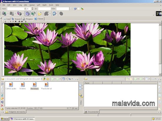 AceFTP 3.80.2 Pro Ingl�s