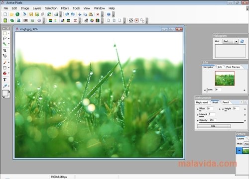 Active Pixels 3.05 Engels