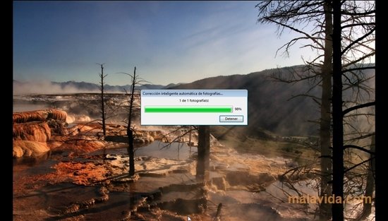 Adobe Photoshop Album Starter Edition 3.2 Engelska