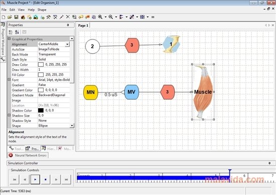 AnimatLab 1.1