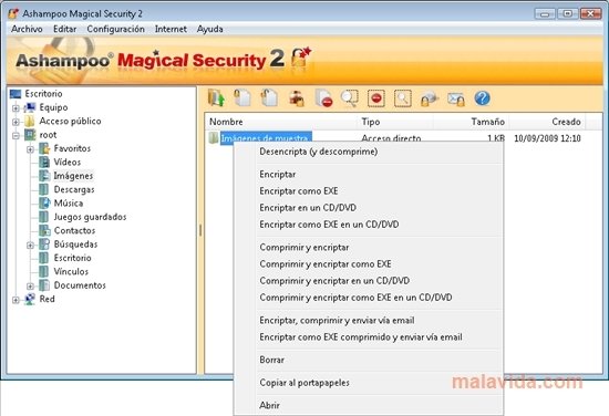 Ashampoo Magical Security 2.01 Engelska
