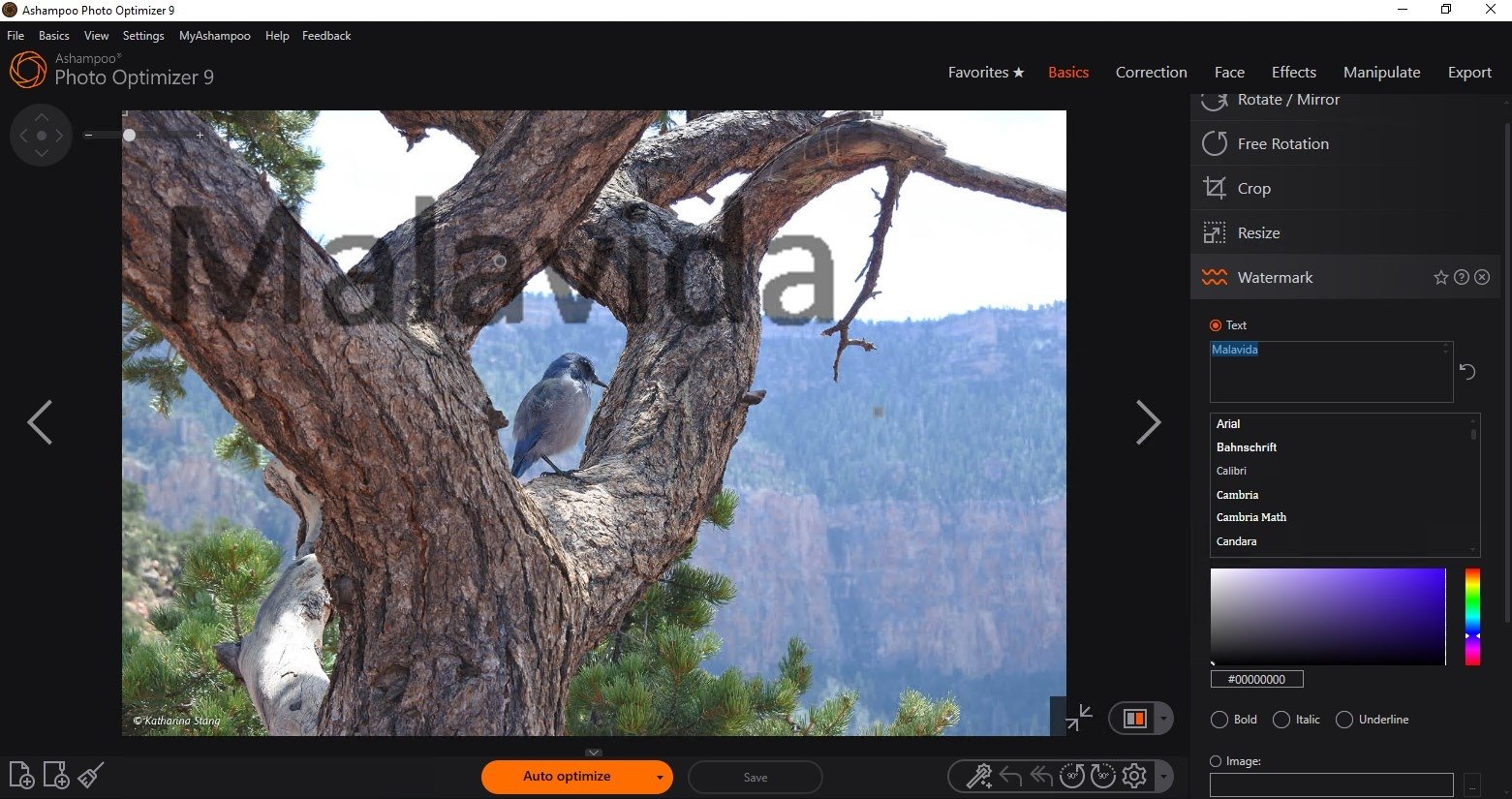 Ashampoo Photo Optimizer 2.01 Engelska