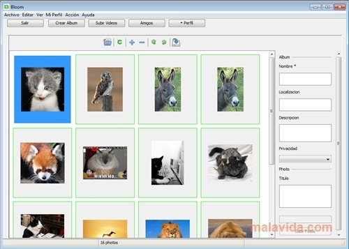 Bloom 2.9.1