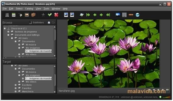 blueMarine 0.9RC2