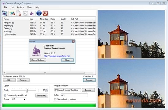 Caesium 1.4.1