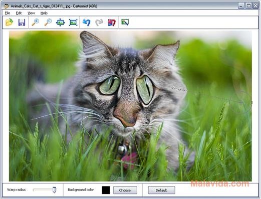 Cartoonist 1.3
