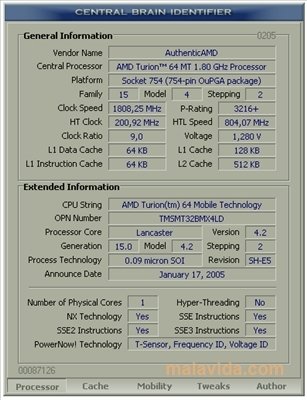 Central Brain Identifier 8.3.6.6 build 1228 Englez�