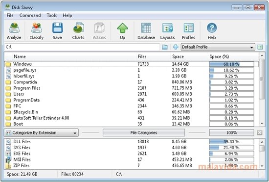 DiskSavvy 4.0.25