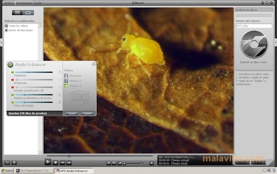 DivX Player Plus 10.0.1