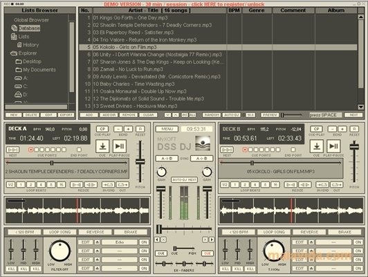 DSS DJ 5.6 Engelsk