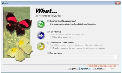 Easy2Sync for Outlook  3.03 Ingl�s