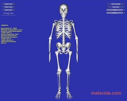 Esqueleto 3D 2.0 Espa�ol