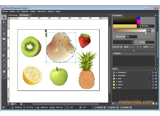 Microsoft Expression Design  3