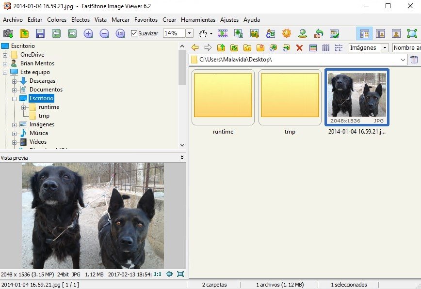 FastStone Image Viewer 5.2