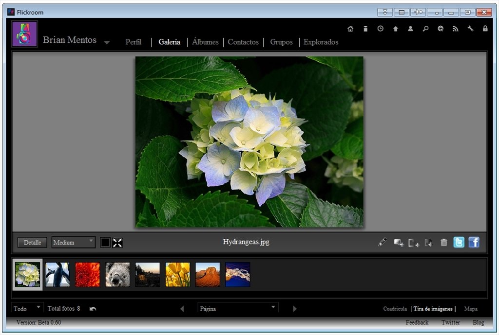 Flickroom 0.60 Beta