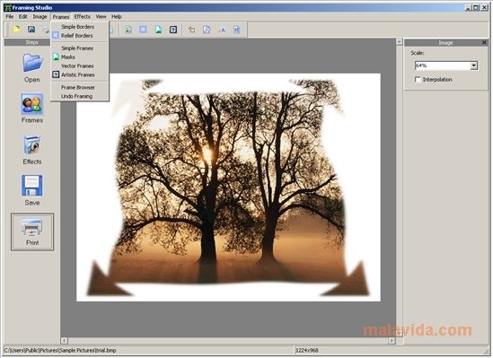 Framing Studio 2.87 Anglais