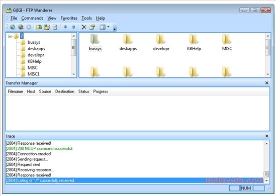 FTP Wanderer 2.8.1 Engels