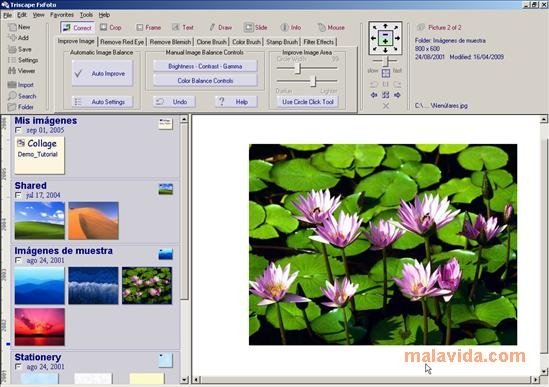 FxFoto  6.0.071 Ingl�s