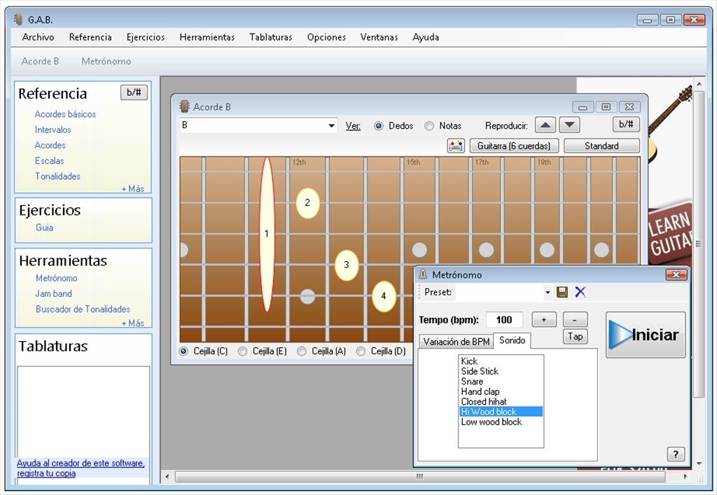 Guitar and Bass 1.1